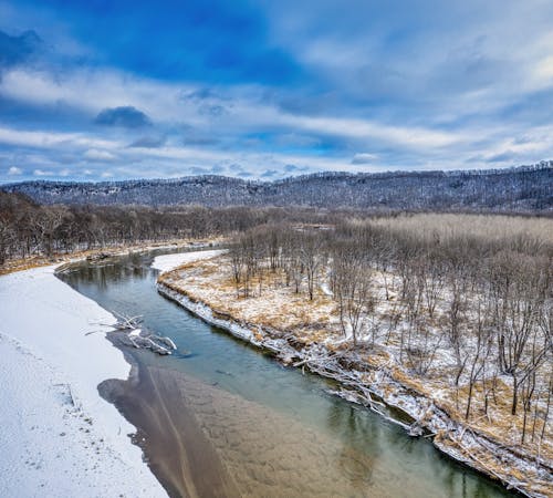 Aerial Photography of River and Bare trees under the Cloudy Sky