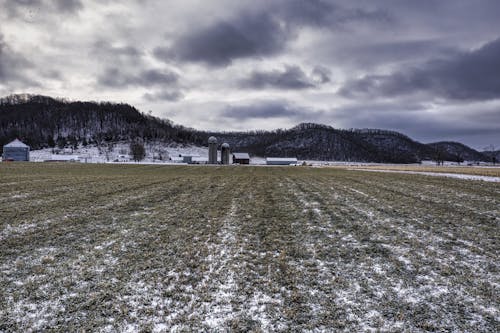Agricultural Field in Winter