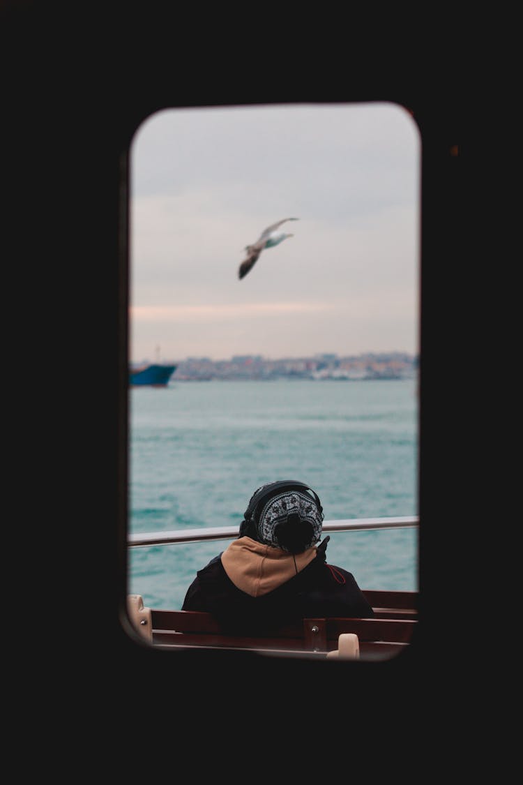 Back Of A Person Sitting On A Bench On A Boat And Watching A Seagull