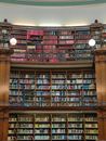 Books on Shelves in Library
