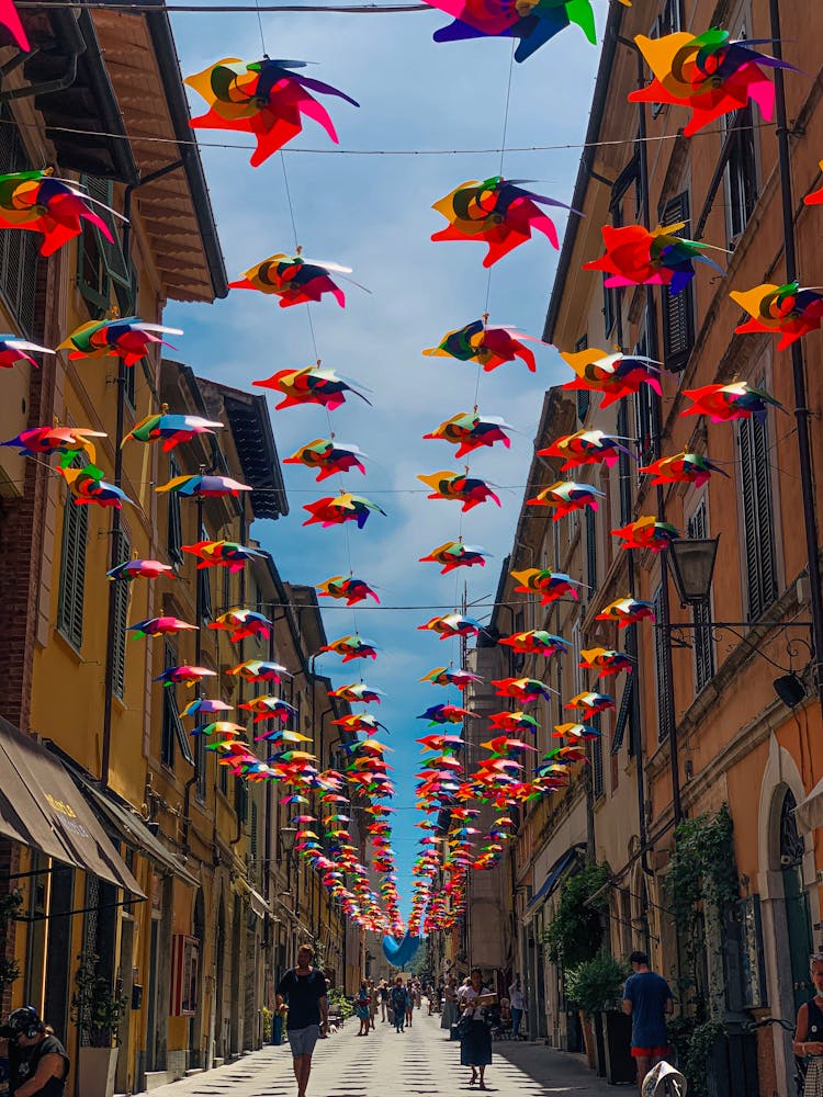 Colorful Pinwheels Hanged Above Street