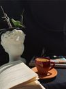 White Rose on White Ceramic Vase Beside Book