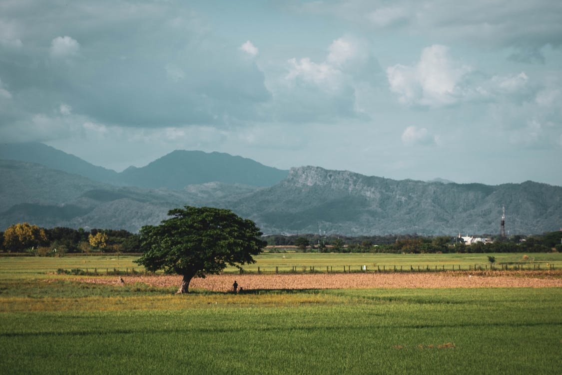 Green Fields and Mountains 