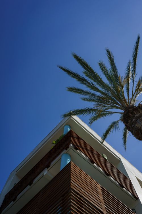 Free Low angle view of a modern building with a palm tree against a clear blue sky. Stock Photo