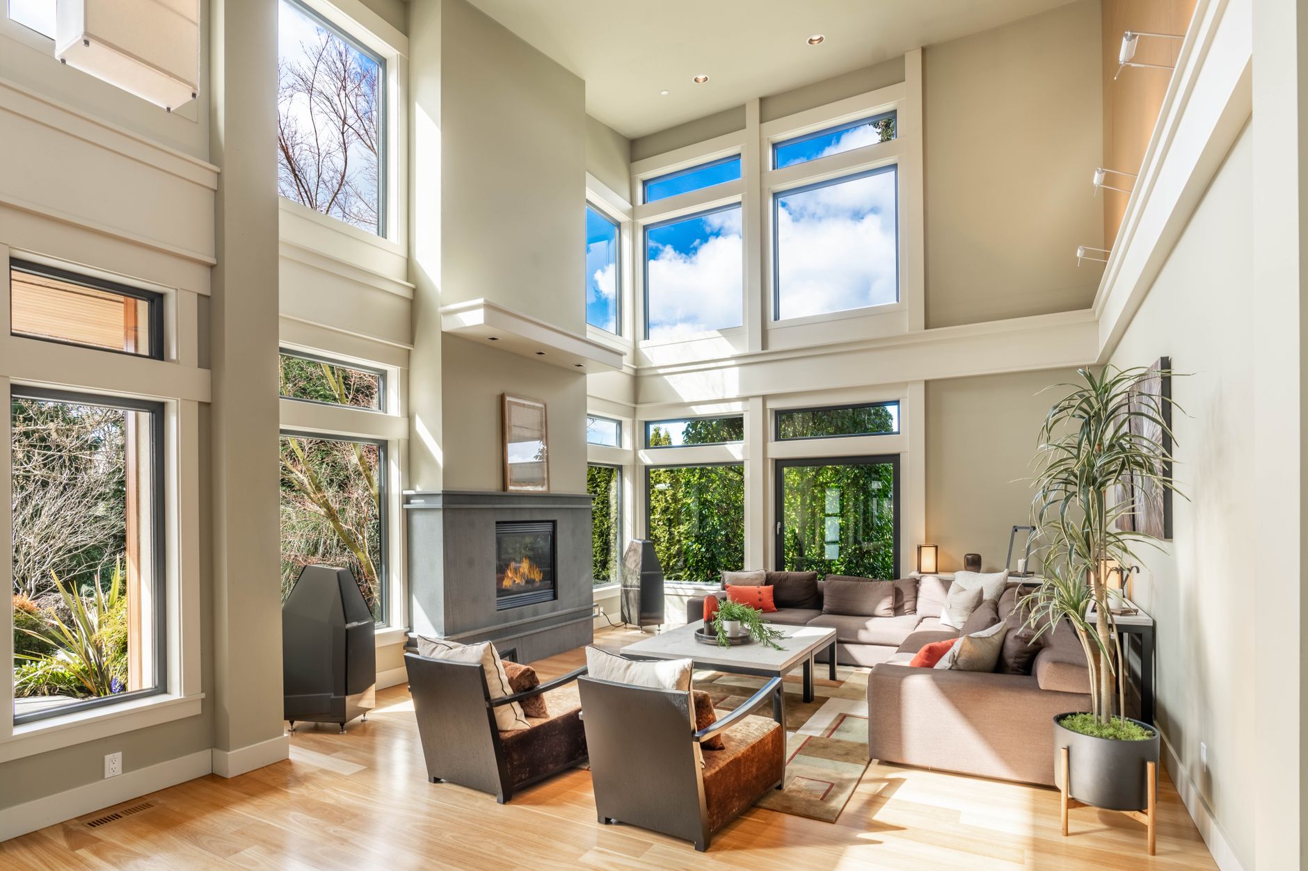Bright airy living room with tall clean windows overlooking greenery
