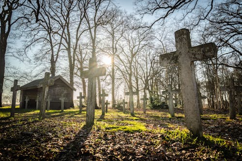 Free Tombstones in a Cemetery Stock Photo