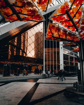Dramatic urban scene in Moscow featuring modern architecture and autumn reflections.