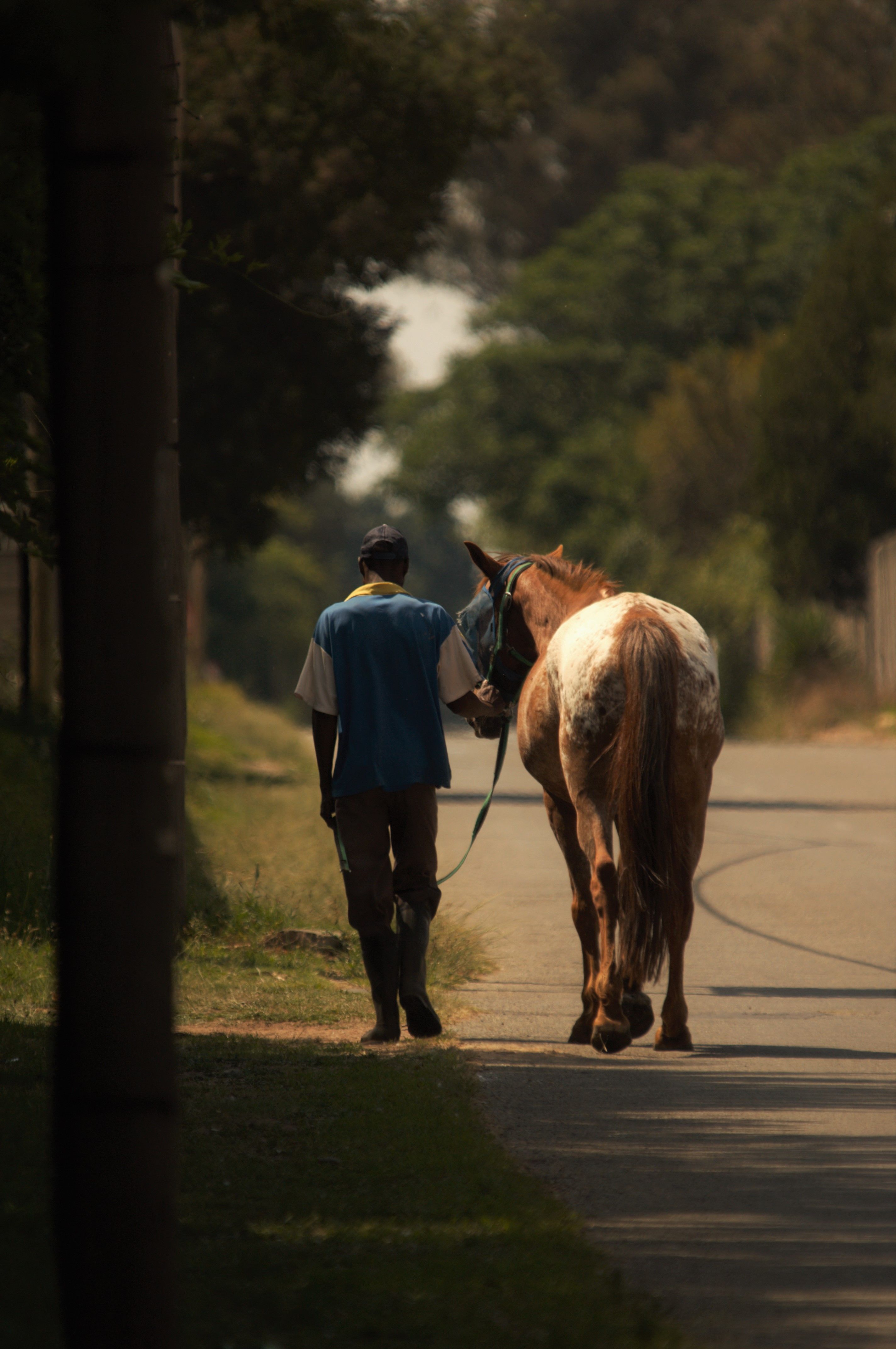 Operate Man Riding Man Riding a Horse · Free Stock Photo