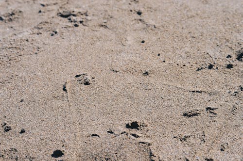 Ingyenes stockfotó árnyék, homok, homok-strand témában