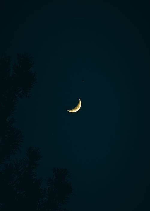 The Crescent Moon in the Dark Night Sky 