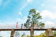 一群妇女在乡村的木桥上享受阳光明媚的一天，四周是郁郁葱葱的树木和蓝天