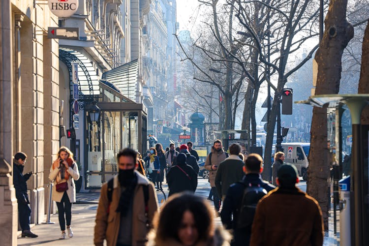 People Walking On The Sidewalk Beside Bare Trees