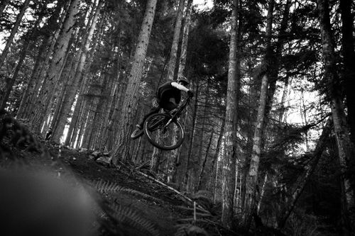 Free A mountain biker performs a jump on a forest trail in Nanaimo, BC, Canada. Stock Photo