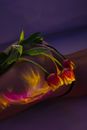Tulips and Colorful Lights on Womans Bottom