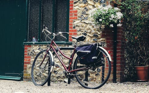Free stock photo of bicycle, flowers, garden