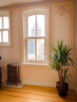 Luxurious room showcasing elegant interior design with a potted yucca and scenic city view.