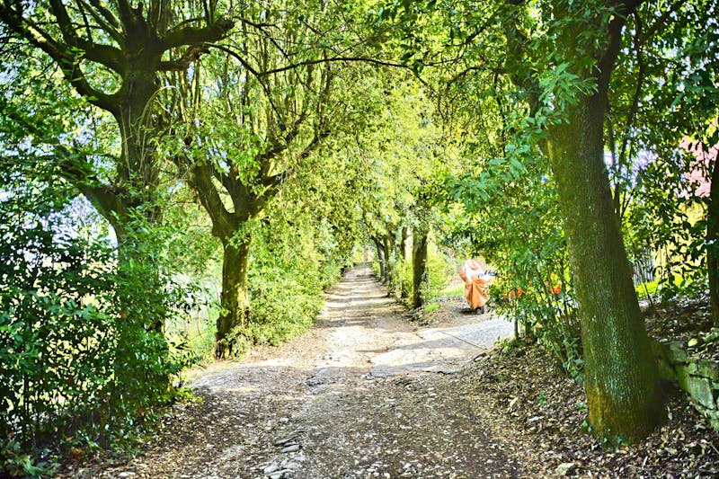 Аккуратно сложенный мягкий послеоперационный бюстгальтер на чистом фоне.