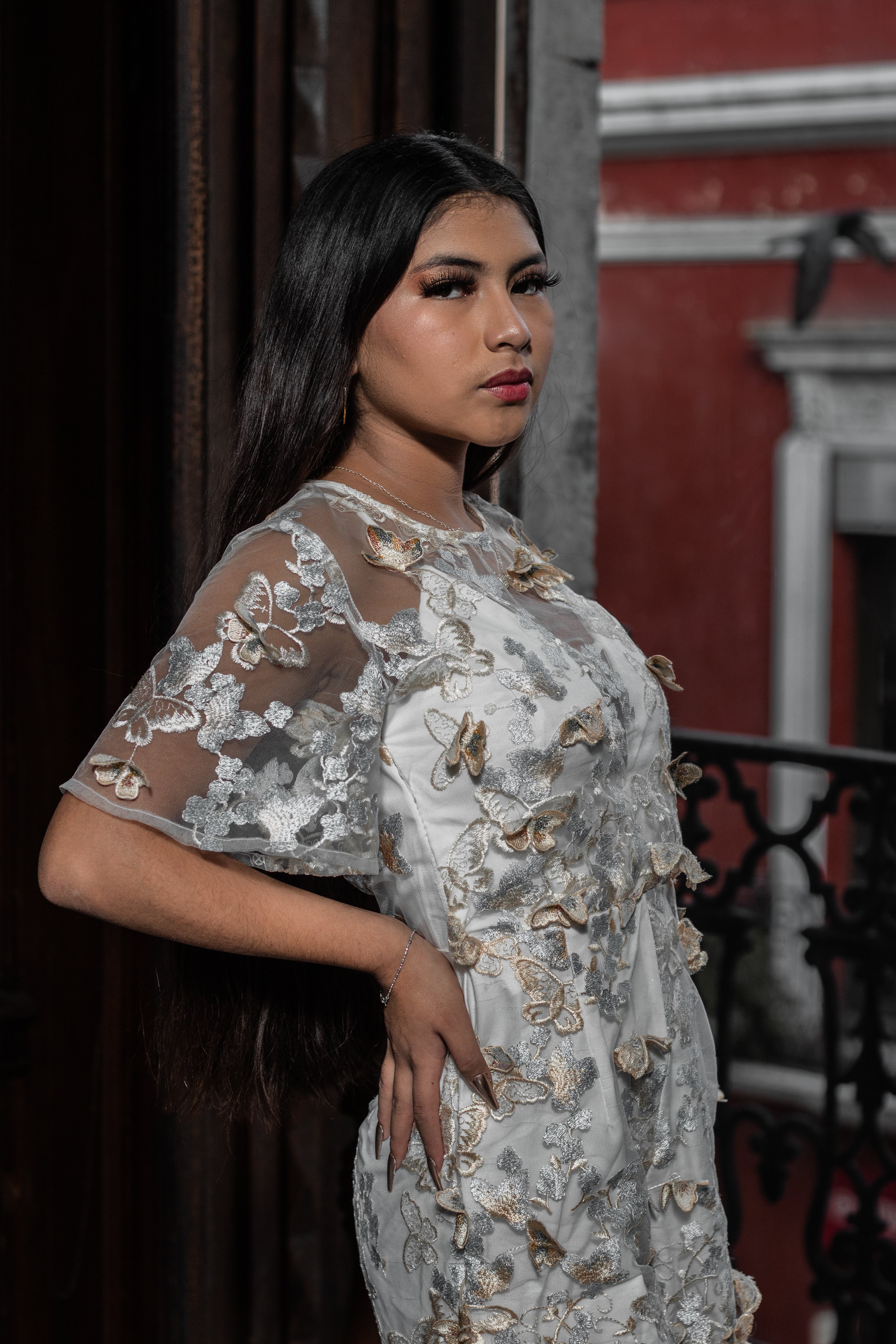 Badgley Mischka Embroidered Mesh Dress Photos, Download The BEST Free Badgley  Mischka Embroidered Mesh Dress Stock Photos & HD Images
