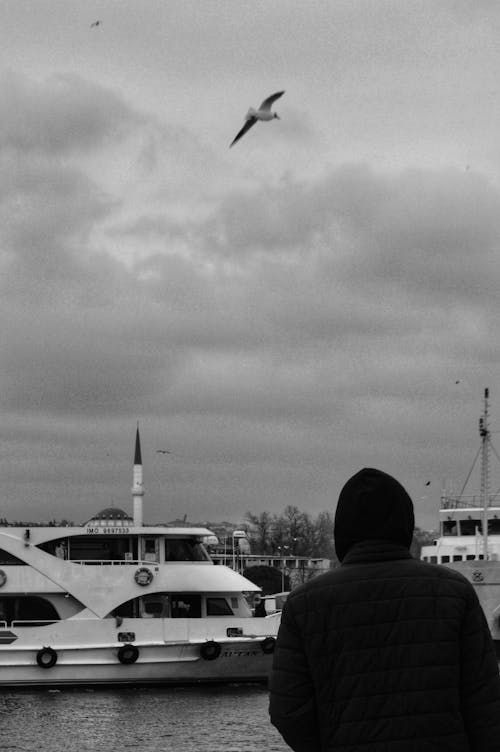 Person Standing on Pier Looking at Cruise Ships