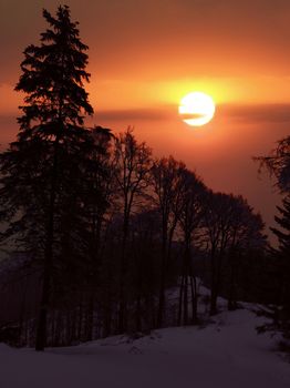 Captivating winter sunset over a snowy forest, showcasing tranquil beauty.