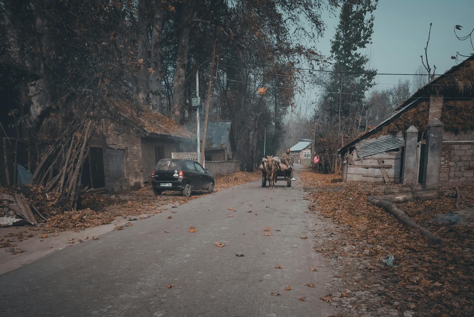 A picturesque village road in autumn featuring a horse-drawn wagon surrounded by rustic buildings.