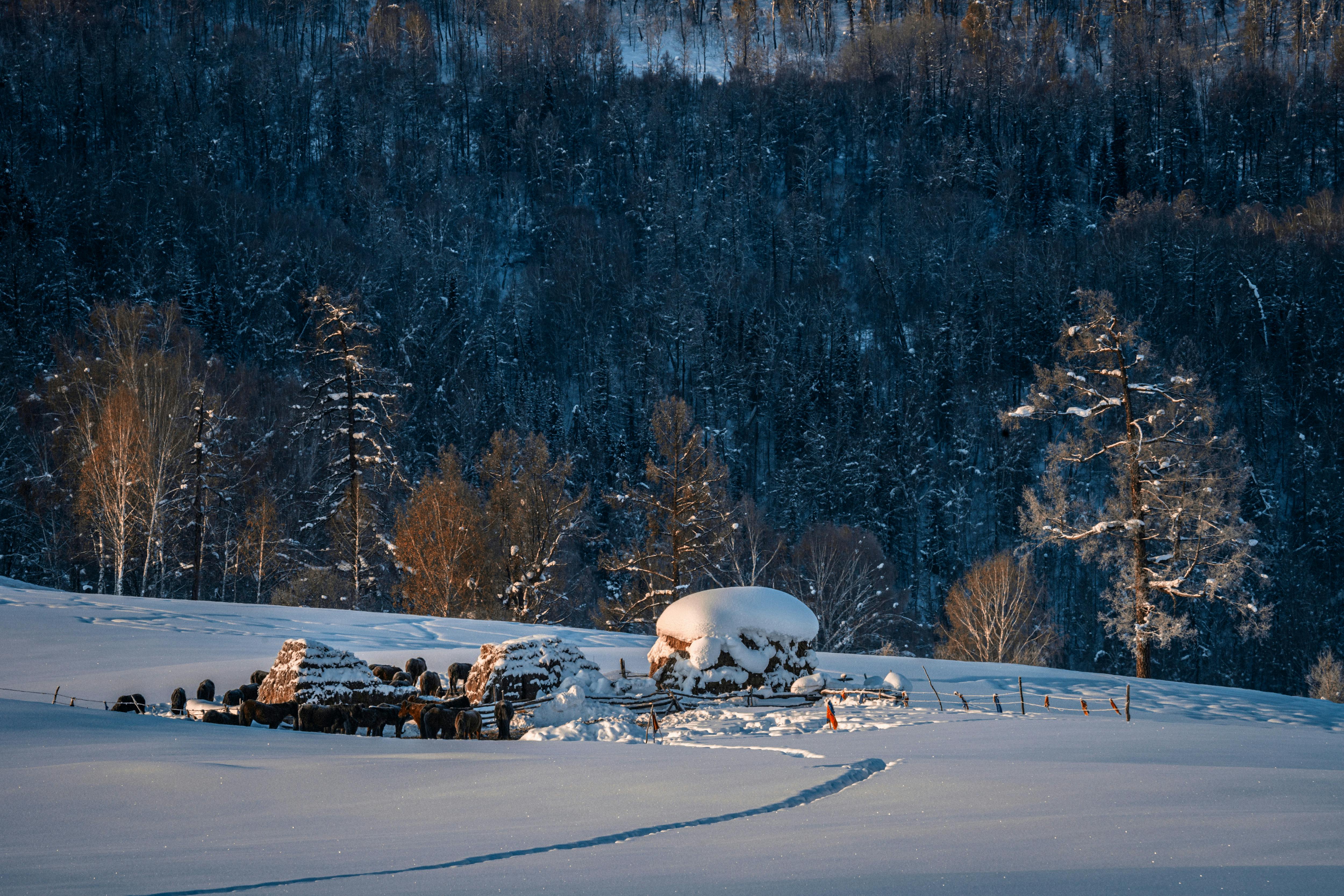 Desktop Wallpaper Winter Farmhouse Photos, Download The BEST Free
