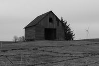 Grayscale Photo of Wooden House Near Trees