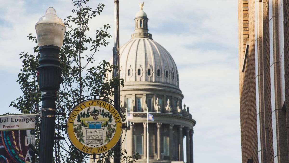 Pet Product Giveaways in Saint Paul, MN: Updated 2026 List for Local Winners