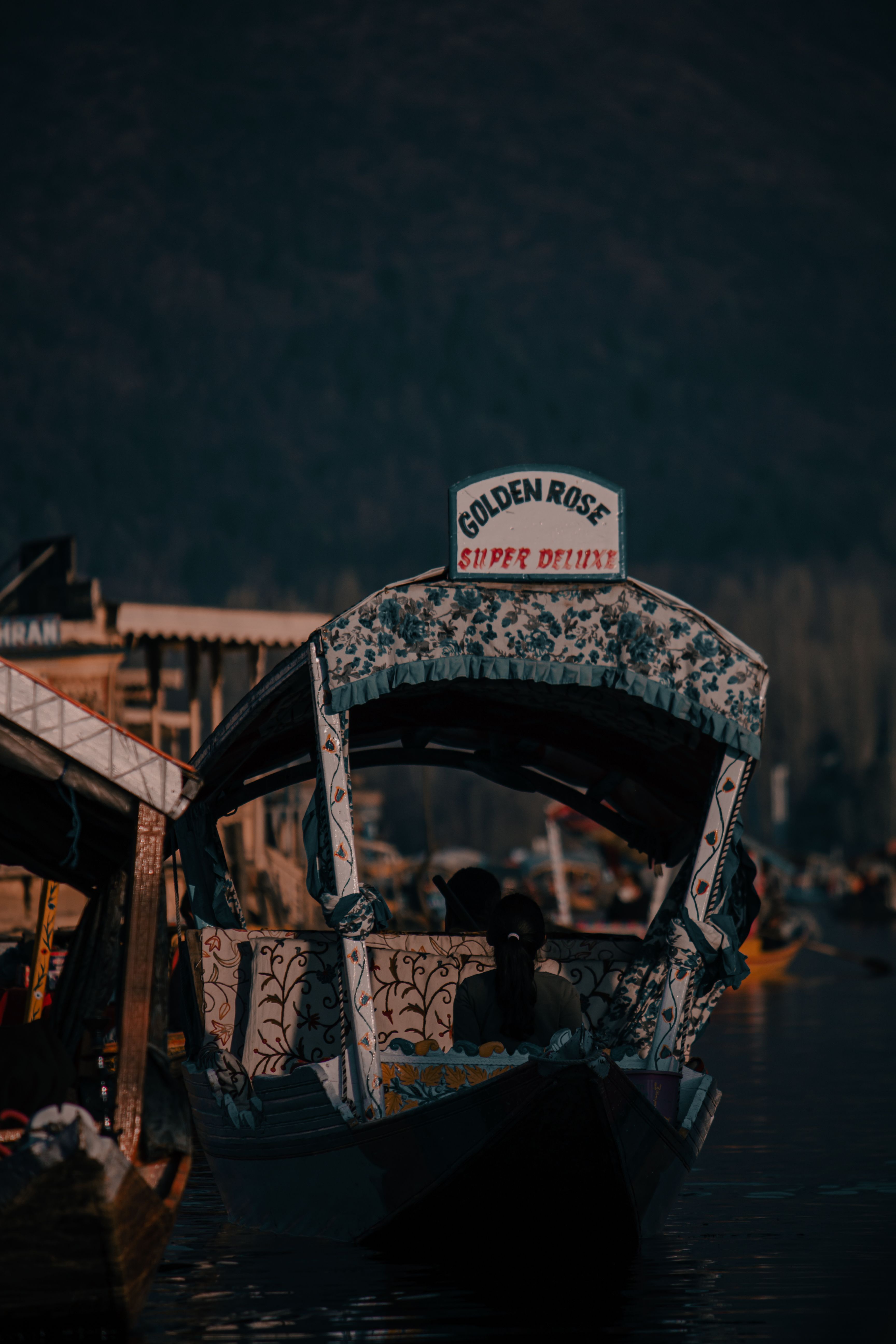 Dal Lake View