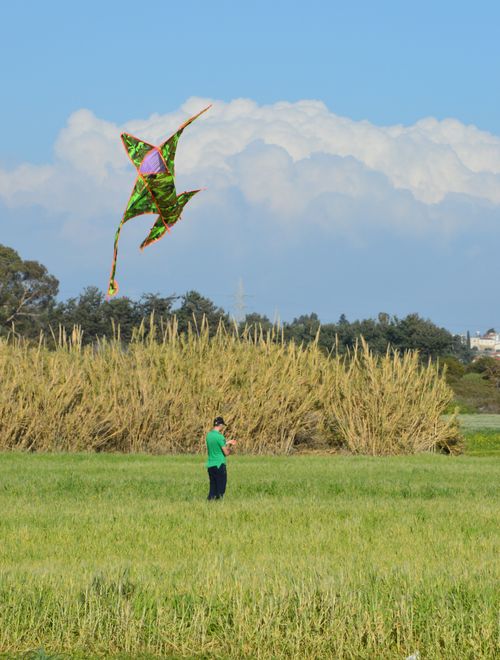 Free Dad with big green kite Stock Photo
