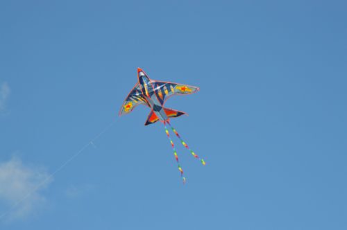 Free bright kite Stock Photo