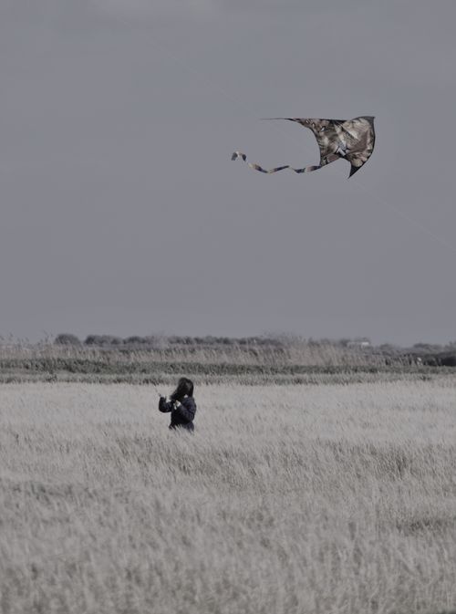 Free girl with kite Stock Photo
