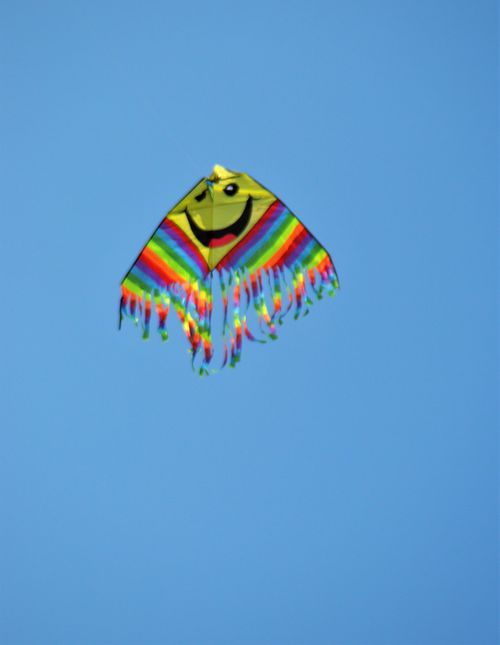 Free Bright happy Kite Stock Photo