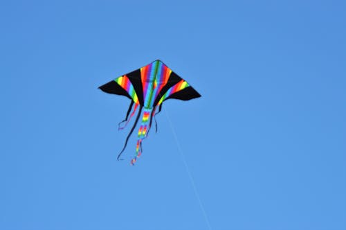 bright kite
