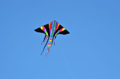 Free bright kite Stock Photo