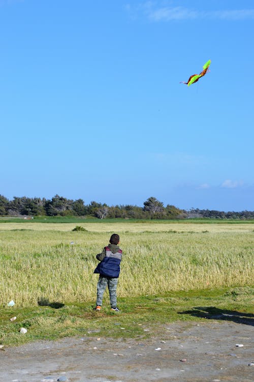 Boy flying kite in Spring