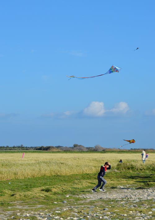 children flying kites in Spring fields