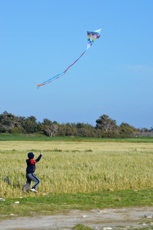 A Kid Flying Kite on a Grass Field