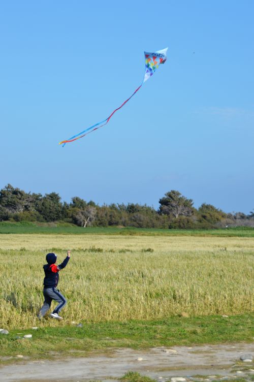 Free A child runs with a colorful kite in a sunny open field, enjoying an outdoor activity. Stock Photo
