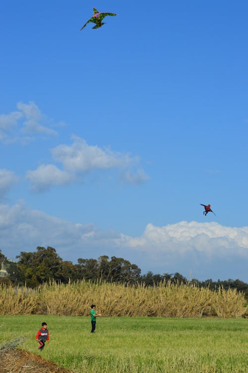  2 Boys flying kites in Spring green fields