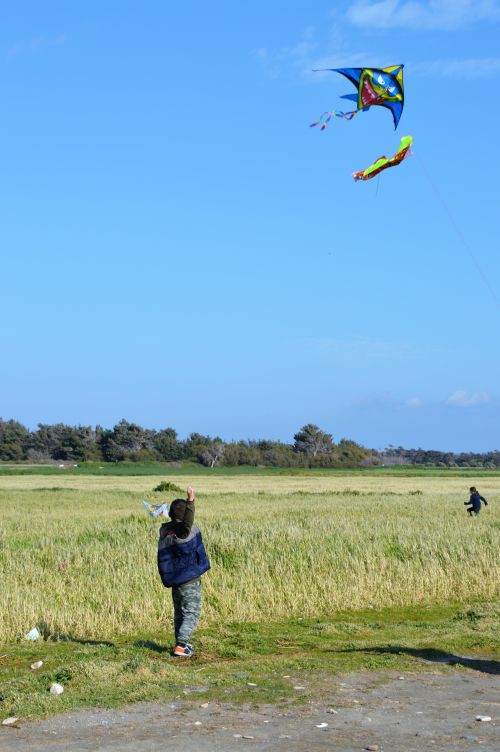 Free Kids enjoy flying kites in a grassy field under a clear blue sky. Stock Photo