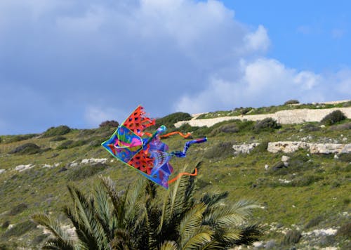 colourful kite