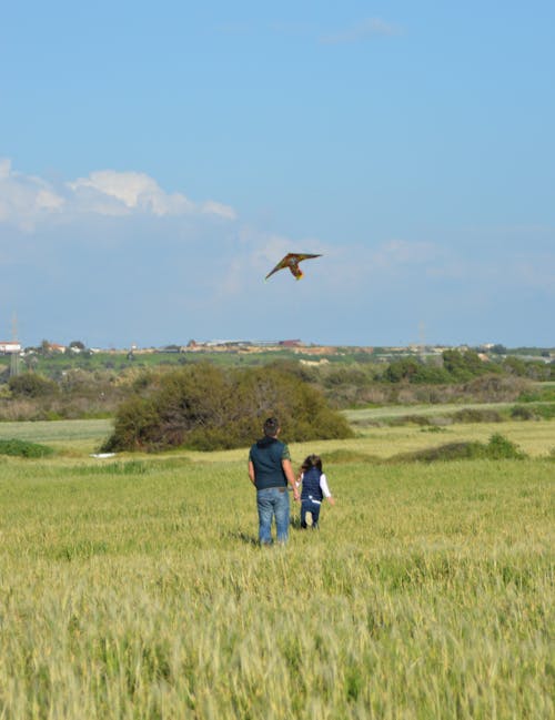 dad and daughter fun flying kites in Spring fields