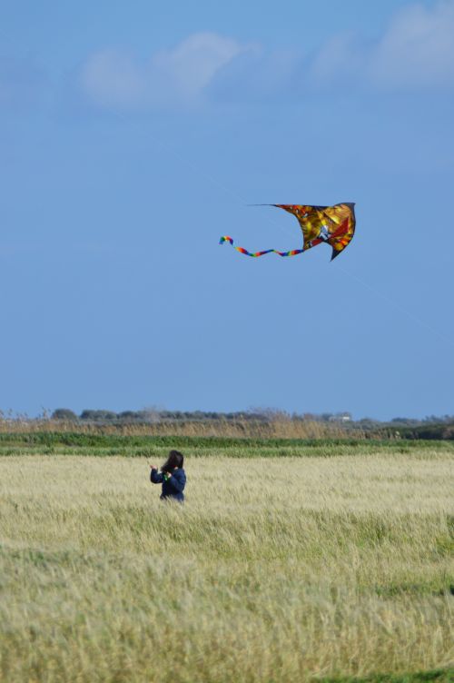 Free girl flying big colourful kite in crop field Stock Photo