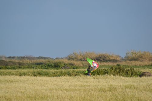 Free boy running through green fields with kite Stock Photo