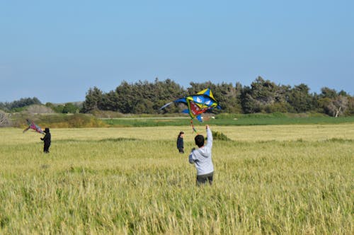 children flying kites in Spring fields