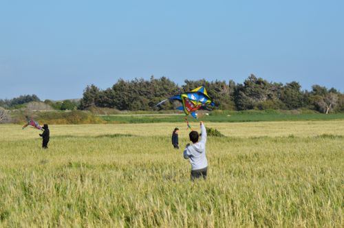 Free children flying kites in Spring fields Stock Photo