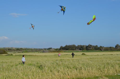 children having fun flying colourful Kites at Spring Festival