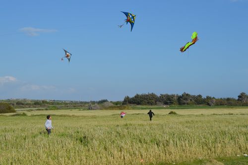 Free children having fun flying colourful Kites at Spring Festival Stock Photo