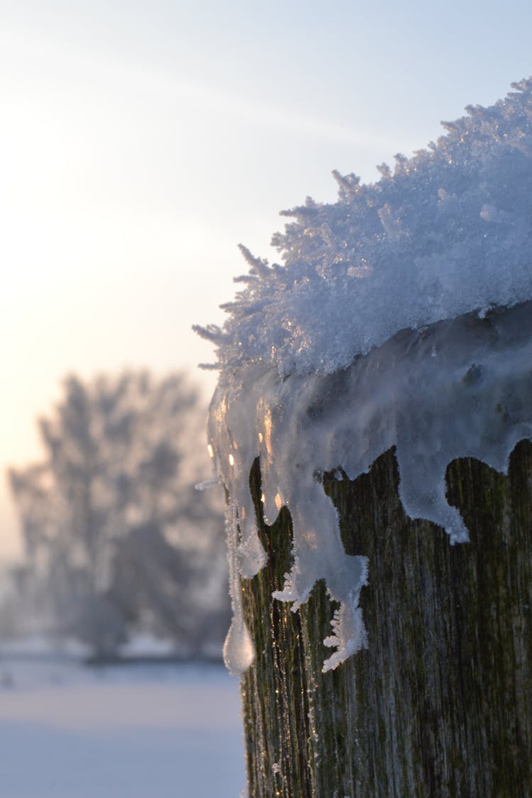 Ice And Snow On A Wooden Pile